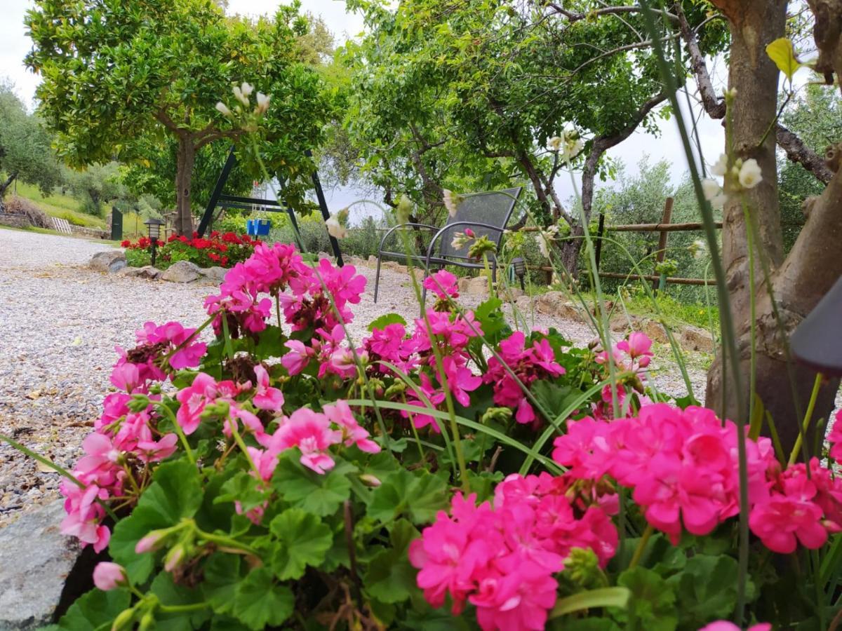 Casa Rural El Bonito ξενώνας Cazalla de la Sierra Εξωτερικό φωτογραφία